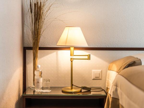 Seehotel Sternen : photo 3 de la chambre chambre double ou lits jumeaux - vue sur ville