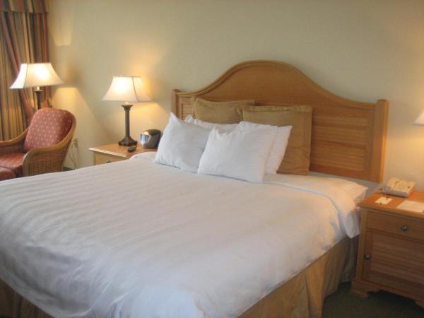 Monumental Hotel Orlando : photo 1 de la chambre chambre attribuée à l'arrivée