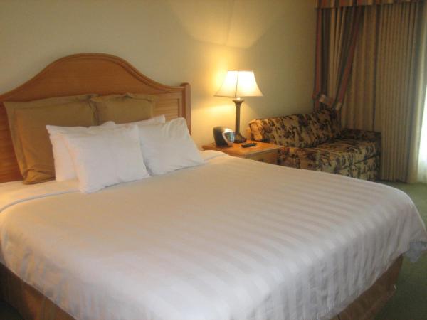 Monumental Hotel Orlando : photo 4 de la chambre chambre attribuée à l'arrivée