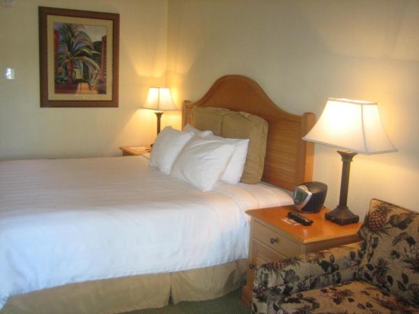 Monumental Hotel Orlando : photo 6 de la chambre chambre lit king-size
