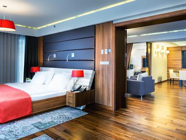 Holiday Inn Krakow City Centre, an IHG Hotel : photo 1 de la chambre suite 1 chambre lit king-size