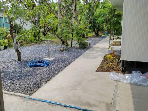 Wild Ones Hostel : photo 8 de la chambre chambre simple Économique