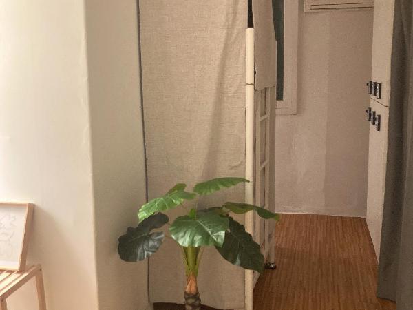 Yakorea Hostel Dongdaemun : photo 3 de la chambre lit dans dortoir pour femmes de 6 lits