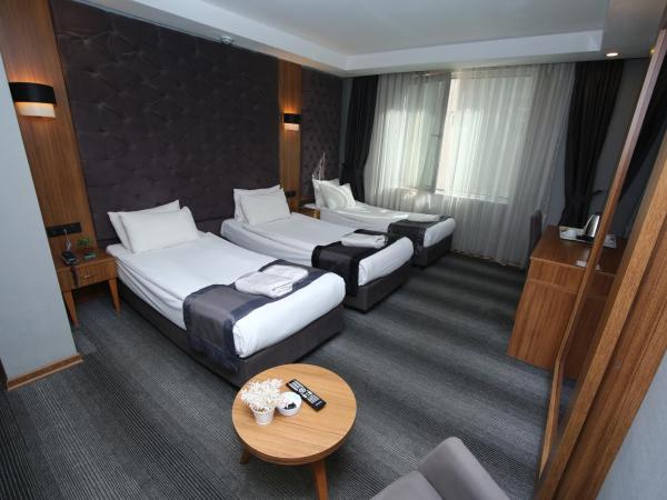 Grand Silay Hotel : photo 8 de la chambre chambre triple basique