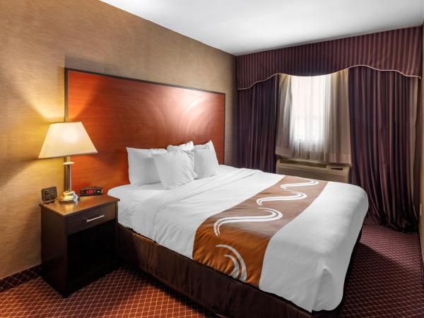 Quality Inn Toronto Airport : photo 7 de la chambre chambre lit king-size affaires