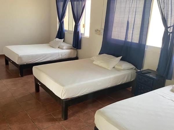 Hotel & Hostal Mayflower : photo 1 de la chambre chambre familiale