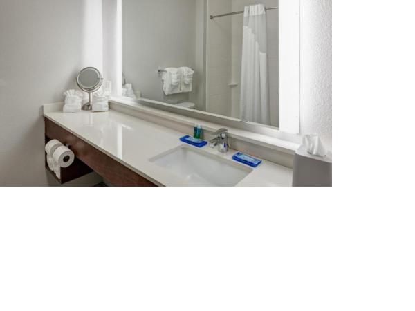 Holiday Inn Express & Suites - Orlando At Seaworld, an IHG Hotel : photo 2 de la chambre chambre lit queen-size 