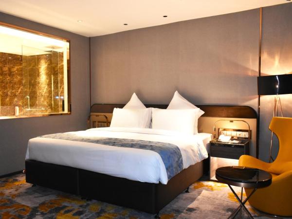 Ames Hotel : photo 5 de la chambre chambre lit king-size deluxe
