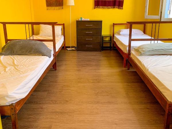 Betel Box Backpackers Hostel : photo 5 de la chambre lit simple dans dortoir pour femmes