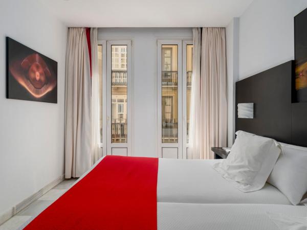 Hotel Del Pintor : photo 4 de la chambre chambre lits jumeaux standard