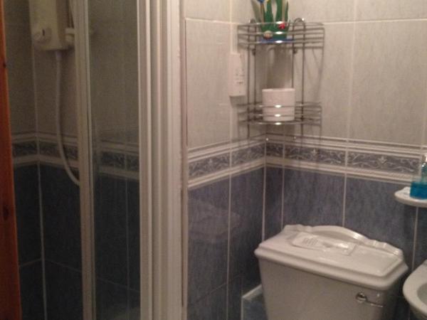 Twin Lions Hotel : photo 5 de la chambre chambre double avec salle de bains privative