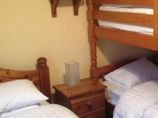 Twin Lions Hotel : photo 3 de la chambre chambre familiale avec salle de bains