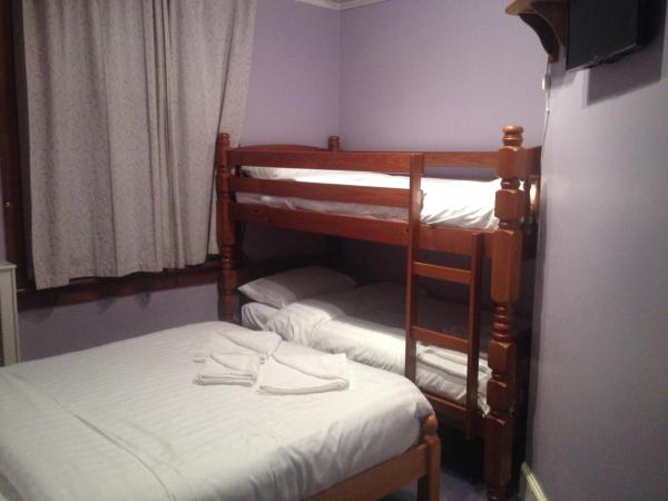 Twin Lions Hotel : photo 3 de la chambre chambre familiale avec salle de bains commune - vue sur jardin