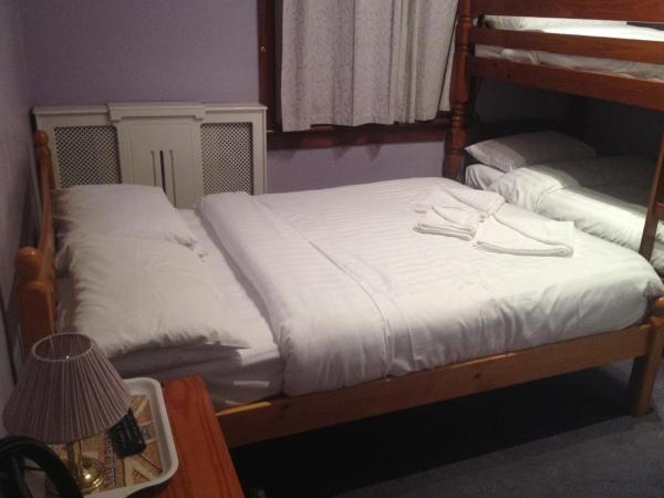 Twin Lions Hotel : photo 4 de la chambre chambre familiale avec salle de bains commune - vue sur jardin