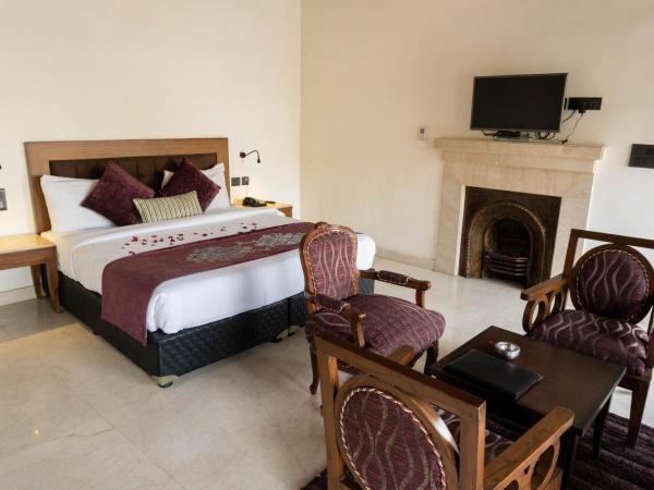 Hotel Green Castle (Heritage Hotel) : photo 2 de la chambre suite avec balcon