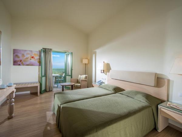 Silva Beach Hotel : photo 2 de la chambre chambre double ou lits jumeaux - vue sur jardin