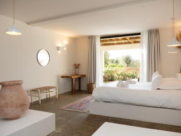 VILLA FLAKA Boutique Hôtel Confidentiel et Convivial : photo 7 de la chambre suite - vue sur jardin