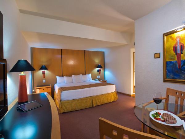 Hotel Guadalajara Plaza Ejecutivo : photo 1 de la chambre chambre double standard