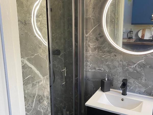 Beechtree House : photo 3 de la chambre studio avec jardin