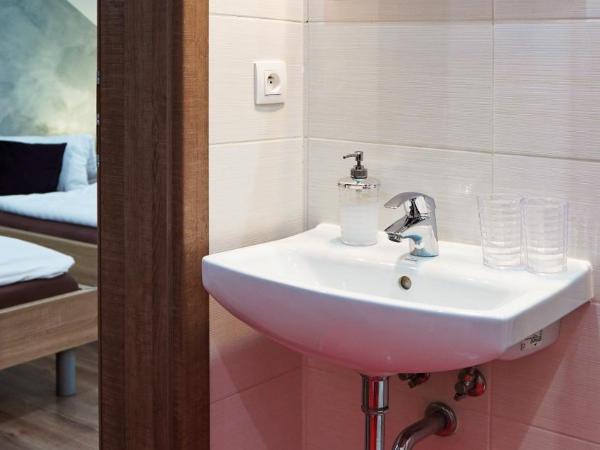 U Šípků : photo 9 de la chambre chambre lits jumeaux deluxe