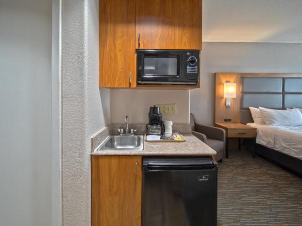 Wingate by Wyndham Houston Bush Intercontinental Airport : photo 4 de la chambre chambre lit king-size