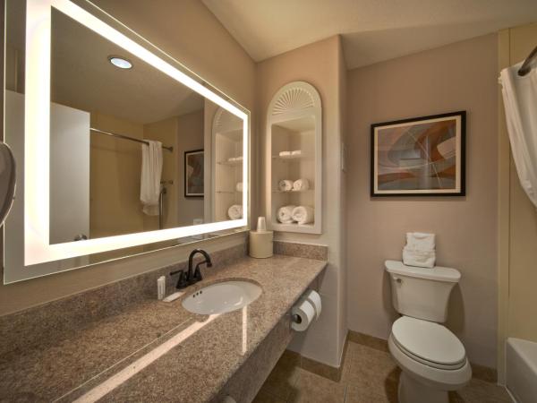 Wingate by Wyndham Houston Bush Intercontinental Airport : photo 6 de la chambre deluxe king suite with bath tub - mobility/hearing accessible