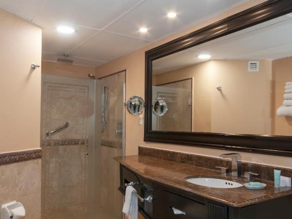 BelAir Unique Mexico City WTC, Trademark by Wyndham : photo 3 de la chambre chambre simple standard