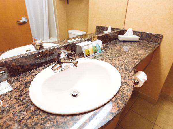 Rosslyn Inn & Suites : photo 2 de la chambre chambre standard avec 2 lits queen-size - nouveau bâtiment