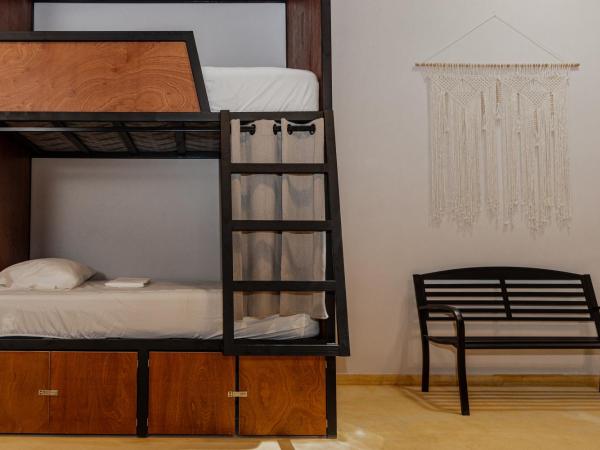 Caleta Hostel Rooftop & Pool : photo 3 de la chambre lit dans dortoir pour femmes de 4 lits