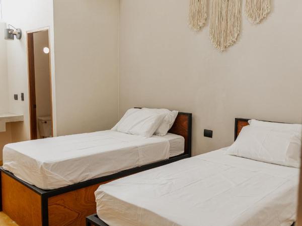 Caleta Hostel Rooftop & Pool : photo 4 de la chambre chambre deluxe double ou lits jumeaux