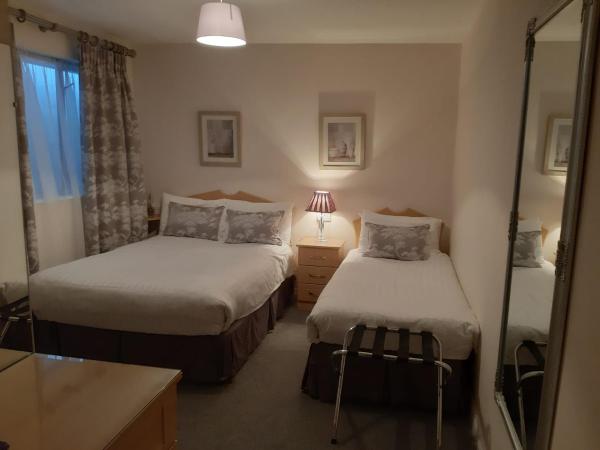 Blackrock Carole Ville Guesthouse : photo 4 de la chambre chambre lits jumeaux avec douche 