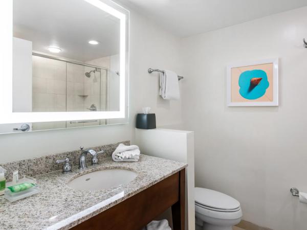 Holiday Inn Orlando - Disney Springs™ Area, an IHG Hotel : photo 4 de la chambre chambre avec 2 lits queen-size et vue sur les feux d'artifice disney