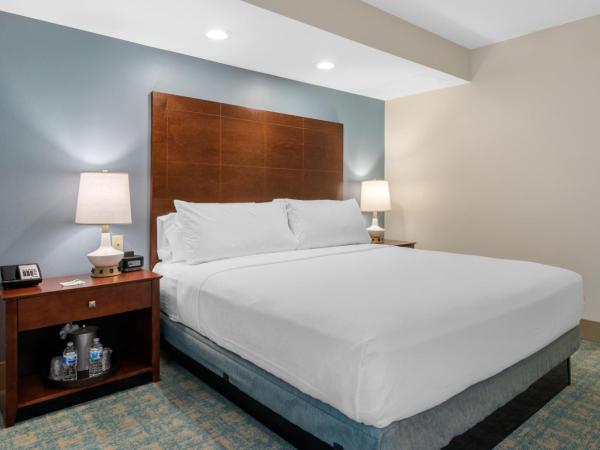 Holiday Inn Orlando - Disney Springs™ Area, an IHG Hotel : photo 1 de la chambre chambre lit king-size - baignoire accessible aux personnes à mobilité réduite