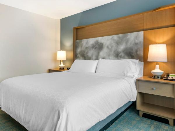Holiday Inn Orlando - Disney Springs™ Area, an IHG Hotel : photo 1 de la chambre chambre lit king-size avec canapé-lit