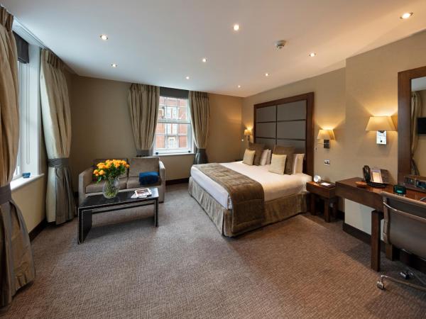 Wellington Hotel by Blue Orchid : photo 1 de la chambre chambre lit king-size deluxe