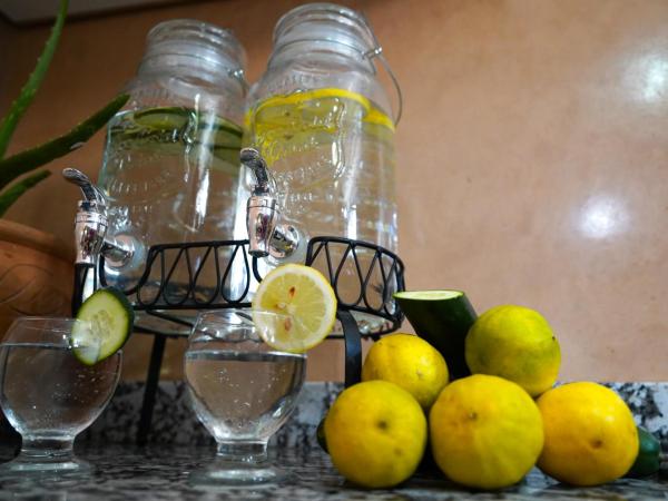 Fleur de cactus, Guesthouse, Tamraght : photo 6 de la chambre chambre simple