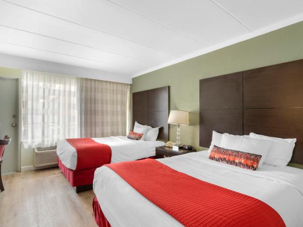 Sandcastle Resort : photo 4 de la chambre chambre avec 2 lits doubles - vue partielle sur océan