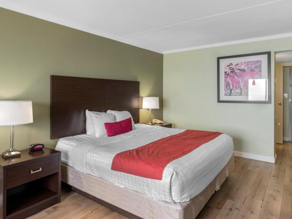 Sandcastle Resort : photo 2 de la chambre chambre lit king-size pour personnes à mobilité réduite - non-fumeurs