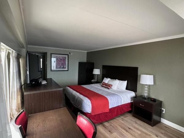 Sandcastle Resort : photo 2 de la chambre suite familiale