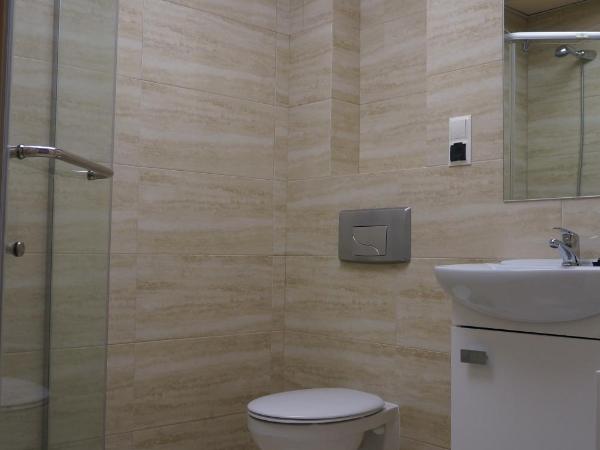 Willa Głogowska : photo 7 de la chambre chambre double