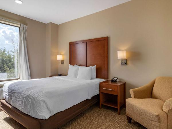 Comfort Suites near Texas Medical Center - NRG Stadium : photo 2 de la chambre suite lit queen-size avec canapé-lit - non-fumeurs