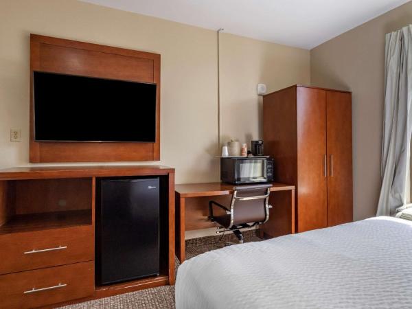 Comfort Suites near Texas Medical Center - NRG Stadium : photo 3 de la chambre suite lit queen-size avec canapé-lit - non-fumeurs