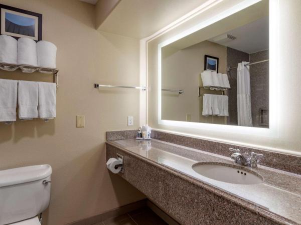 Comfort Suites near Texas Medical Center - NRG Stadium : photo 5 de la chambre suite lit king-size avec canapé-lit - non-fumeurs