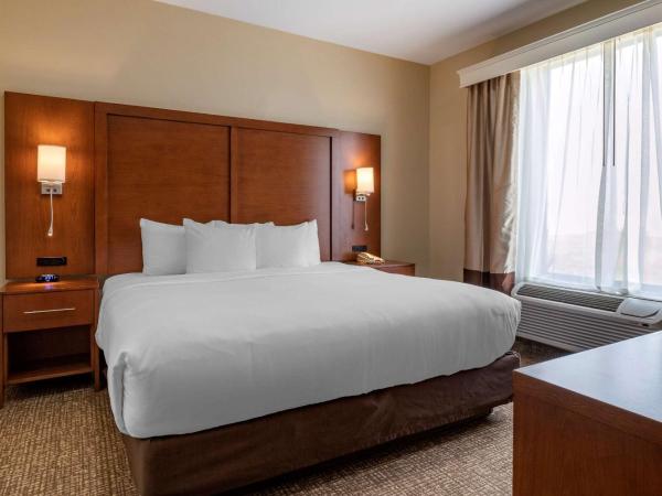 Comfort Suites near Texas Medical Center - NRG Stadium : photo 2 de la chambre one room suite with living room - disability access/non smoking