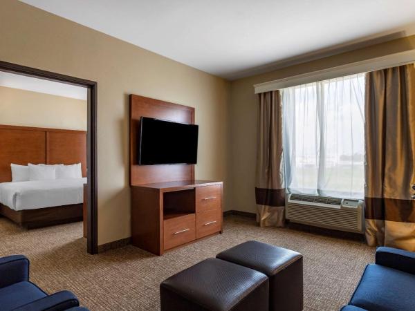 Comfort Suites near Texas Medical Center - NRG Stadium : photo 3 de la chambre one room suite with living room - disability access/non smoking