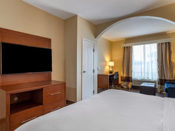 Comfort Suites near Texas Medical Center - NRG Stadium : photo 3 de la chambre suite lit king-size avec canapé-lit - non-fumeurs