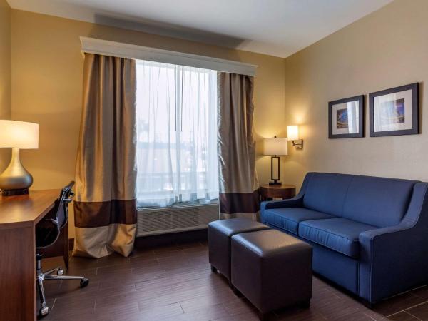 Comfort Suites near Texas Medical Center - NRG Stadium : photo 4 de la chambre suite lit king-size avec canapé-lit - non-fumeurs