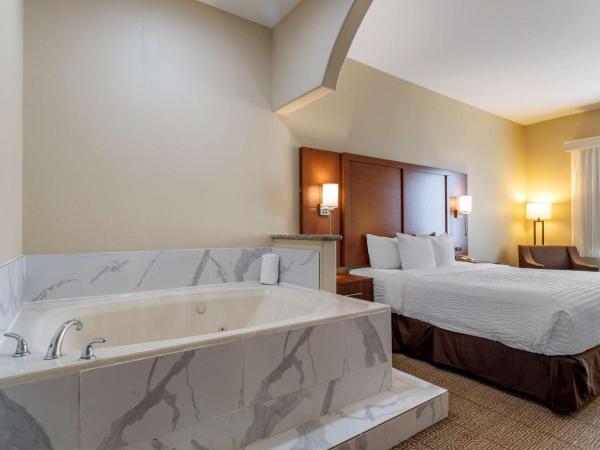 Comfort Suites near Texas Medical Center - NRG Stadium : photo 4 de la chambre one room suite with whirlpool - disability access/non smoking