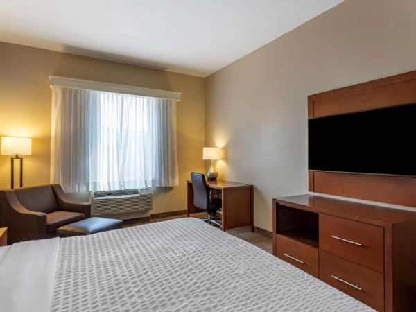 Comfort Suites near Texas Medical Center - NRG Stadium : photo 5 de la chambre one room suite with whirlpool - disability access/non smoking