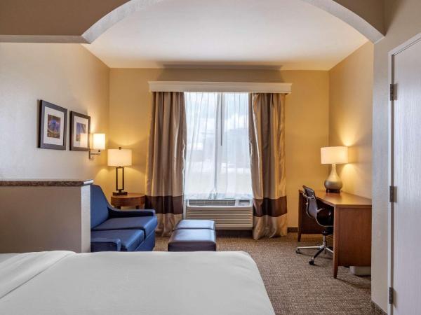 Comfort Suites near Texas Medical Center - NRG Stadium : photo 4 de la chambre suite 2 lits queen-size - accessible aux personnes à mobilité réduite - non-fumeurs